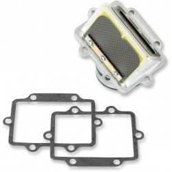Карбонови клапани RAD BOYESEN RAD24G