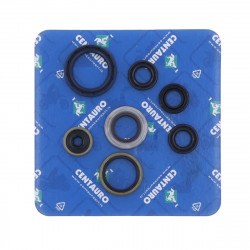 Уплътнение за масло KT/HV CENTAURO 731A004SR Уплътнение за масло KT/HV CENTAURO 731A004SR