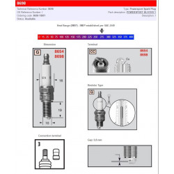 Свещ power sport 8698-1 CHAMPION 8698/T10 Свещ power sport 8698-1 CHAMPION 8698/T10