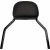 Откачваща се облегалка MINI BK FXLR COBRA 602-2029B Откачваща се облегалка MINI BK FXLR COBRA 602-2029B thumb