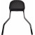 Сиси бар detachable - M8 18-U COBRA 602-2051B thumb