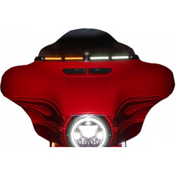 Лайсна за предно стъкло с TS CHR CUSTOM DYNAMICS CD-WT2-05-C