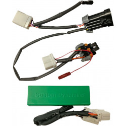Модул TRPLPLAY POLRZRRC2 CUSTOM DYNAMICS GENSMARTTPURZR2