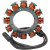 Резервен статор CYCLE ELECTRIC CE-9100 Резервен статор CYCLE ELECTRIC CE-9100 thumb
