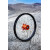 Колело DIRTSTAR 1.60X21 36H OR DID 21X160 OBK36HKTMOR thumb