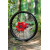 Гума DIRTSTAR ST-X 2.15X19 36 DID 19X215 PBK36HHONRED Гума DIRTSTAR ST-X 2.15X19 36 DID 19X215 PBK36HHONRED thumb