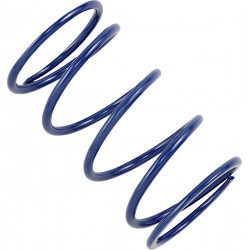 Вторична пружина на съединителя EBS BLUE EPI PERFORMANCE PEBS2