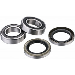 Комплект лагери за задна гума FACTORY LINKS RWK-B-001