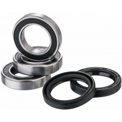 Комплект лагери за задна гума FACTORY LINKS RWK-S-166