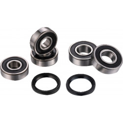 Комплект лагери за задна гума FACTORY LINKS RWK-Y-215