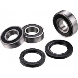 Комплект лагери за задна гума FACTORY LINKS RWK-S-161