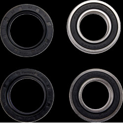 Комплект лагери за задна гума FACTORY LINKS RWK-C-001