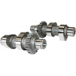 Разпределителни валове 574 REAPER CHAIN DRIVE TWIN CAM FEULING PARTS  1002