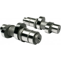 Разпределителни валове 543 REAPER GEAR DRIVE TWIN CAM FEULING PARTS  1022