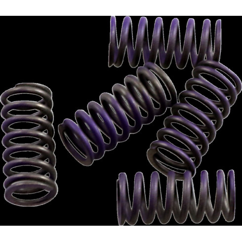 Комплект съединителни пружини hi-temp 5-set YAMAHA HINSON RACING CS341-5-0311 Комплект съединителни пружини hi-temp 5-set YAMAHA HINSON RACING CS341-5-0311