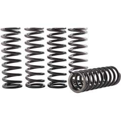 Комплект пружини за съединител HONDA HINSON RACING CS189-5-0613 Комплект пружини за съединител HONDA HINSON RACING CS189-5-0613