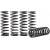 Комплект пружини съединител YZF 450 23- HINSON RACING  CS616-2301 thumb