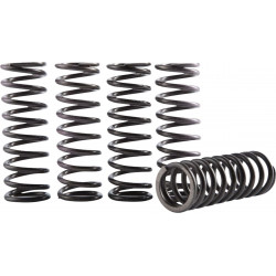 Комплект пружини за съединител hi temp YZ/WR 250 HINSON RACING  CS641-6-1901