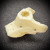 Резервоар dry break CRF 250-450R '2 IMS PRODUCTS 212257-N2 Резервоар dry break CRF 250-450R '2 IMS PRODUCTS 212257-N2 thumb