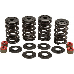 Комплект пружини racing steel retainer KIBBLEWHITE 20-20364