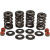 Комплект пружини racing steel retainer KIBBLEWHITE 20-20364 Комплект пружини racing steel retainer KIBBLEWHITE 20-20364 thumb