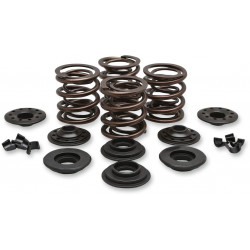 Комплект пружини oem replacement steel retainer KIBBLEWHITE 20-20435 Комплект пружини oem replacement steel retainer KIBBLEWHITE 20-20435