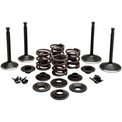 Комплект клапани 70-83 SPT KIBBLEWHITE 20-22350 Комплект клапани 70-83 SPT KIBBLEWHITE 20-22350