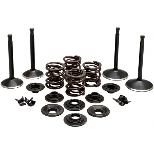 Комплект клапани 70-83 SPT KIBBLEWHITE 20-22350 Комплект клапани 70-83 SPT KIBBLEWHITE 20-22350