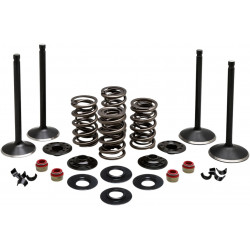 Комплект клапани 84-98 EVO KIBBLEWHITE 20-22650 Комплект клапани 84-98 EVO KIBBLEWHITE 20-22650