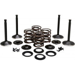 Двигател KT KNUCKLEHEAD KIBBLEWHITE 20-22050 Двигател KT KNUCKLEHEAD KIBBLEWHITE 20-22050