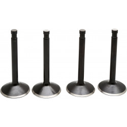 Клапан kt SHOVEL 74 66-77 KIBBLEWHITE 20-22400