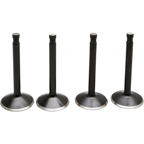Клапан kt SHOVEL 74 66-77 KIBBLEWHITE 20-22400 Клапан kt SHOVEL 74 66-77 KIBBLEWHITE 20-22400