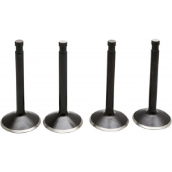 Клапан kt SHOVEL 80 78-83 KIBBLEWHITE 20-22500 Клапан kt SHOVEL 80 78-83 KIBBLEWHITE 20-22500
