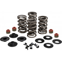 Комплект пружини 05-17 TC/XL KIBBLEWHITE 20-23500 Комплект пружини 05-17 TC/XL KIBBLEWHITE 20-23500