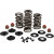 Комплект пружини 05-17 TC/XL KIBBLEWHITE 20-23500 Комплект пружини 05-17 TC/XL KIBBLEWHITE 20-23500 thumb