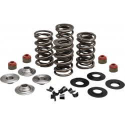 Комплект пружини 05-17 TC/XL KIBBLEWHITE 20-23550 Комплект пружини 05-17 TC/XL KIBBLEWHITE 20-23550