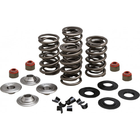 Комплект пружини 05-17 TC/XL KIBBLEWHITE 20-23550 Комплект пружини 05-17 TC/XL KIBBLEWHITE 20-23550