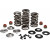 Комплект пружини 05-17 TC/XL KIBBLEWHITE 20-23550 Комплект пружини 05-17 TC/XL KIBBLEWHITE 20-23550 thumb