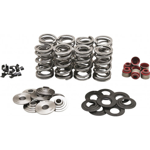 Пружина KT DUAL M8 .630 T KIBBLEWHITE 20-23800 Пружина KT DUAL M8 .630 T KIBBLEWHITE 20-23800