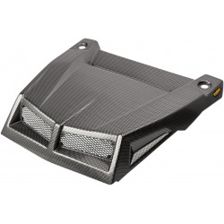 Капак RZR X17 BK CARBON MAIER USA 19464-30 Капак RZR X17 BK CARBON MAIER USA 19464-30