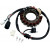 Статор MOOSE RACING M-21-914 Статор MOOSE RACING M-21-914 thumb