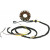 Статор MOOSE RACING M-21-558 Статор MOOSE RACING M-21-558 thumb