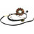 Статор MOOSE RACING M-21-561 Статор MOOSE RACING M-21-561 thumb