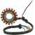 Статор MOOSE RACING M-21-623 Статор MOOSE RACING M-21-623 thumb