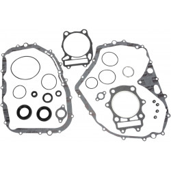 Комплект гарнитури с маслени уплътнения MOOSE RACING 811846MSE