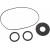 Уплътнение KT differential frt MOOSE RACING 25-2115-5 thumb
