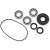 Комплект лагери DIFF FT POL MOOSE RACING 25-2105 Комплект лагери DIFF FT POL MOOSE RACING 25-2105 thumb