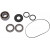 Комплект лагери DIFF FT POL MOOSE RACING 25-2116 Комплект лагери DIFF FT POL MOOSE RACING 25-2116 thumb