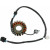 Статор MOOSE RACING M-21-808H Статор MOOSE RACING M-21-808H thumb