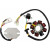 Статор MSE RAC HUS/KTM HO MOOSE RACING M-14-99-900H Статор MSE RAC HUS/KTM HO MOOSE RACING M-14-99-900H thumb